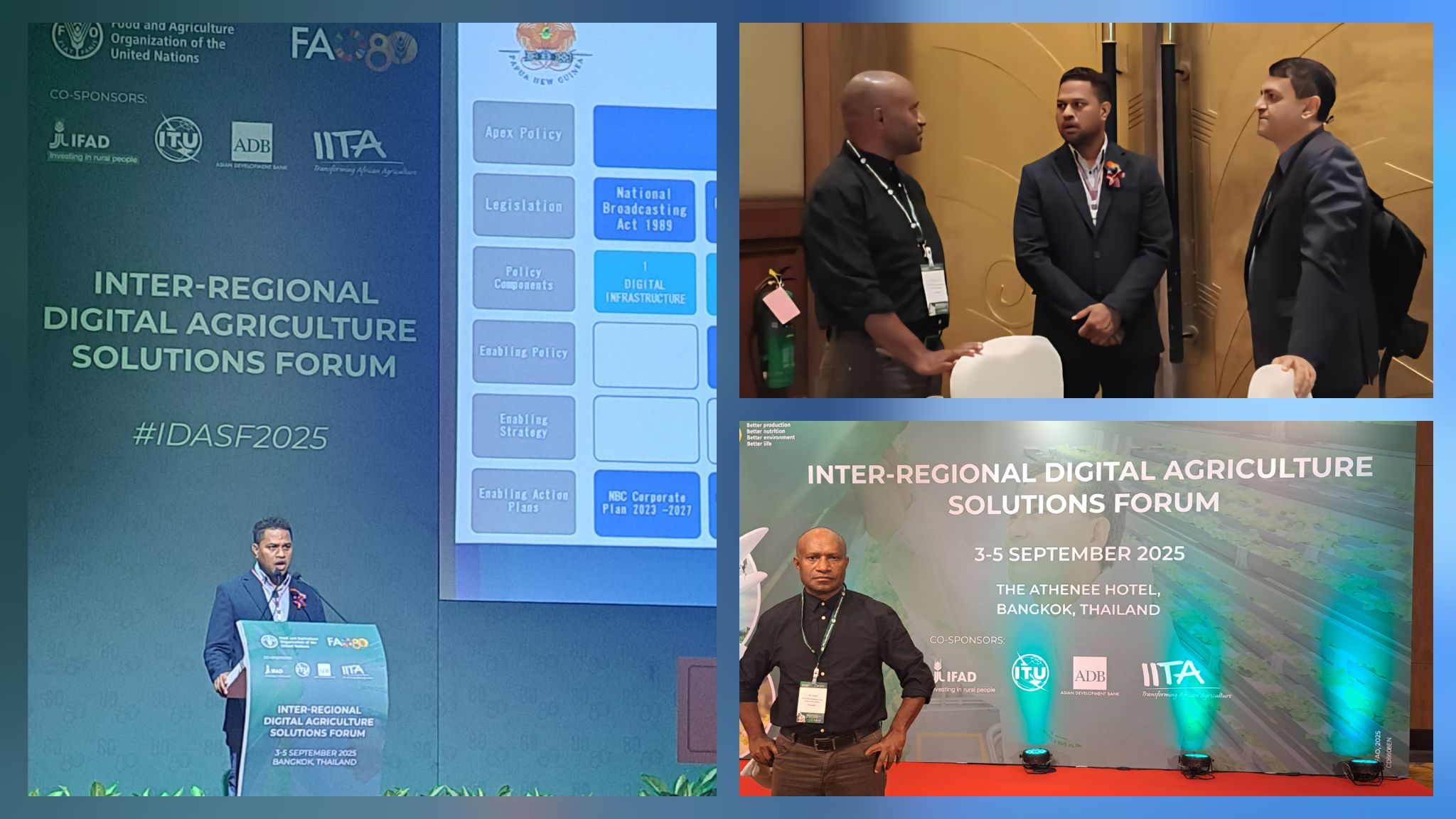 Alt text for the image